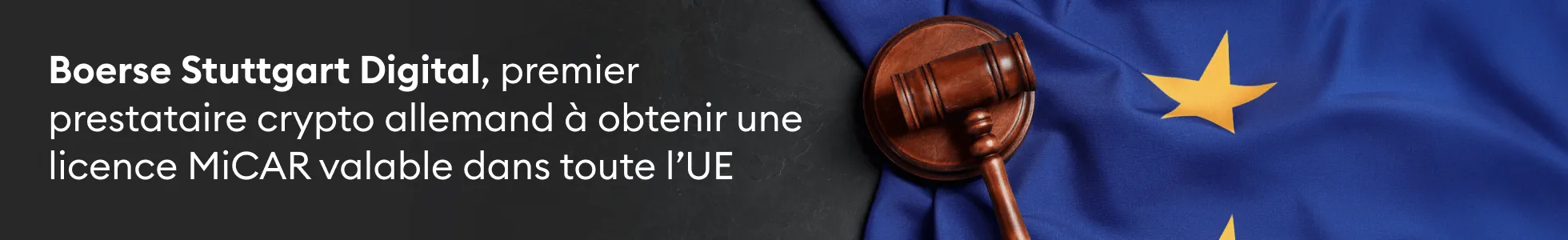BSD Banner Micar FR[1]